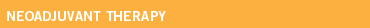 NEOADJUVANT THERAPY